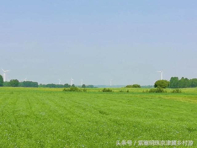 「紫塞明珠」旅游攻略｜张北草原天路，你想不到的土豆花……