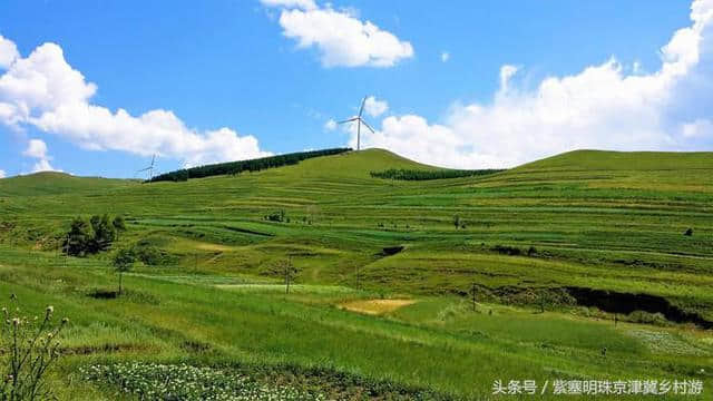 「紫塞明珠」旅游攻略｜张北草原天路，你想不到的土豆花……