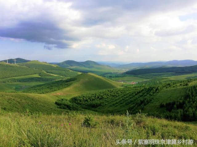 「紫塞明珠」旅游攻略｜张北草原天路，你想不到的土豆花……