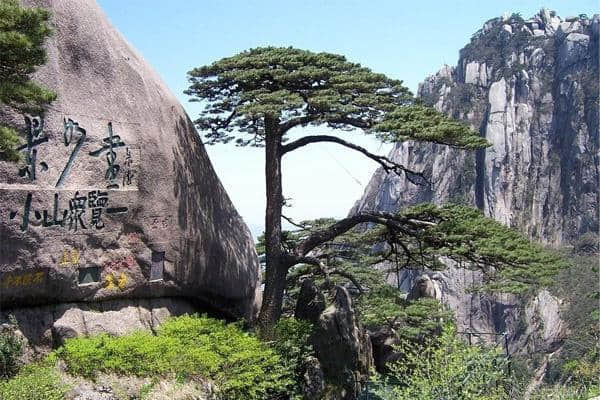 天下第一奇山，黄山最全旅游攻略