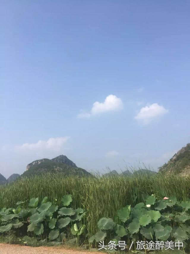 旅途醉美｜云南旅游之普者黑之美