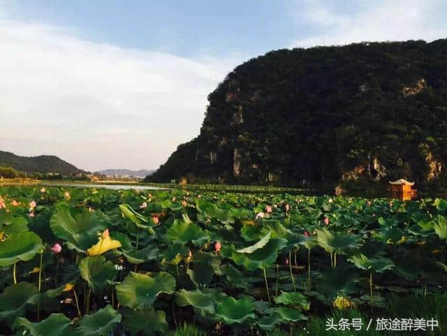 旅途醉美｜云南旅游之普者黑之美