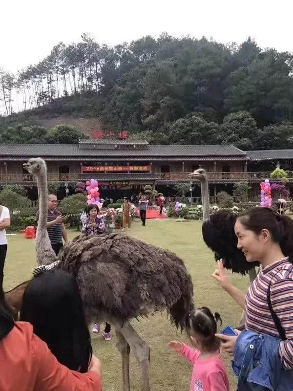 推荐｜梧州农耕文化园这场盛大的热气球稻草人文化旅游节即将开始！周末约起！