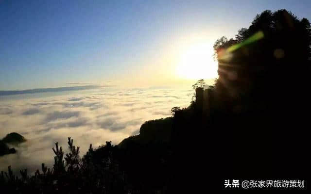 张家界旅游最全新问答攻略·「纯玩.自由.靠谱」介绍