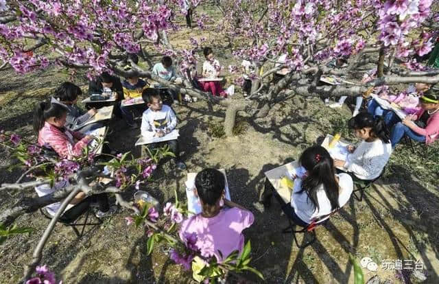 3月9日东塔镇桃花山丨三台首届桃花节，等着你看那桃花儿开