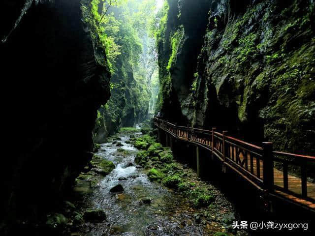 张家界旅游必去6大景区+两大演出，门票价格篇