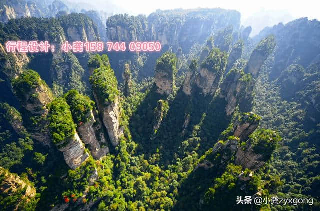 张家界旅游必去6大景区+两大演出，门票价格篇