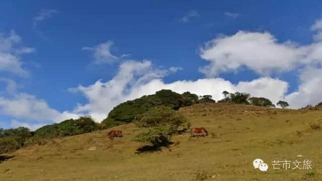 体验德宏避暑好去处，黑河老坡—平河生态旅游环线游