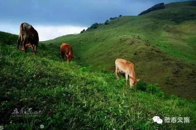 体验德宏避暑好去处，黑河老坡—平河生态旅游环线游