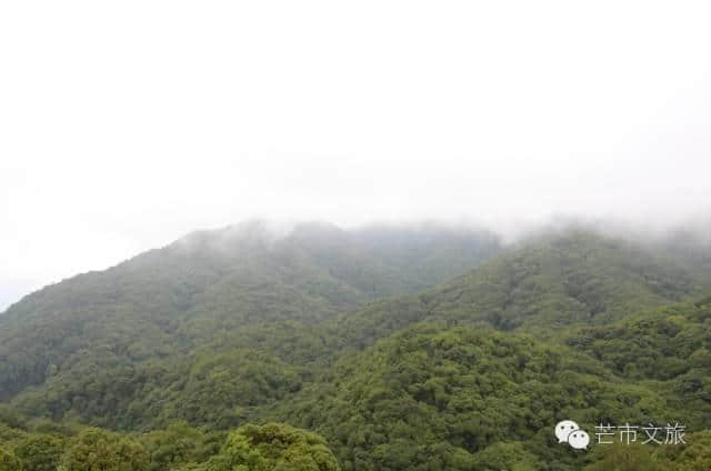 体验德宏避暑好去处，黑河老坡—平河生态旅游环线游