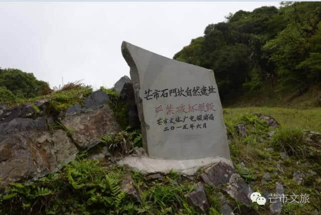 体验德宏避暑好去处，黑河老坡—平河生态旅游环线游