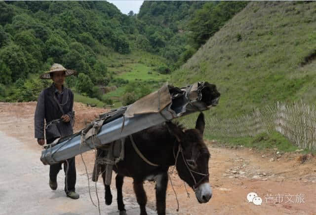 体验德宏避暑好去处，黑河老坡—平河生态旅游环线游