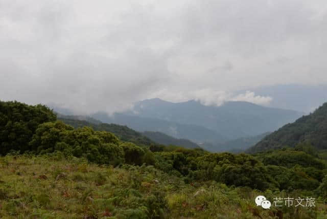 体验德宏避暑好去处，黑河老坡—平河生态旅游环线游