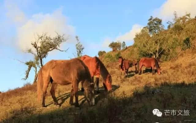 体验德宏避暑好去处，黑河老坡—平河生态旅游环线游