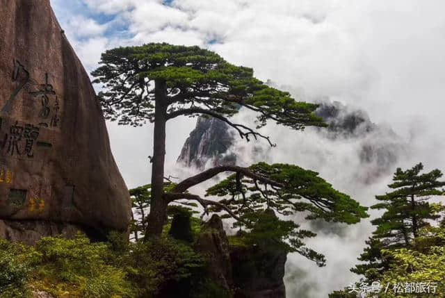 安徽黄山经典奇松 黄山旅游观看迎客松图片欣赏