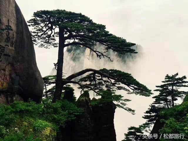 安徽黄山经典奇松 黄山旅游观看迎客松图片欣赏