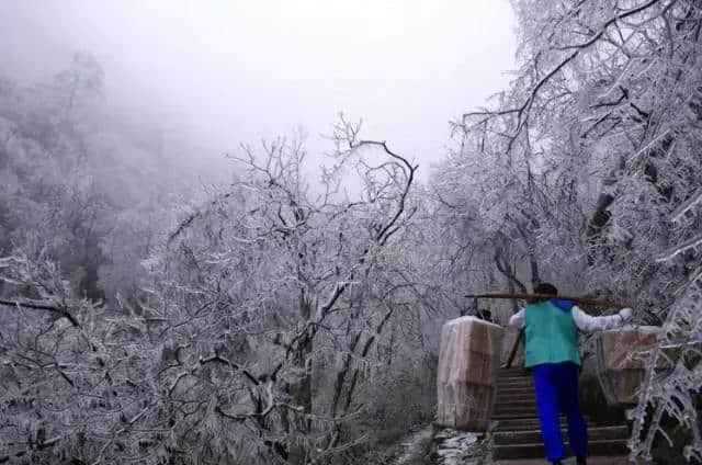 黄山上最美的风景线