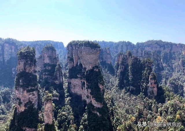 张家界四日游预算，地接价格多少最划算、最实惠？