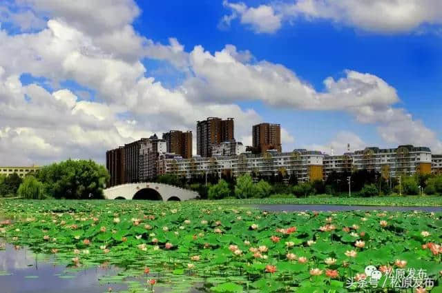 小布推荐：松原旅游美景！