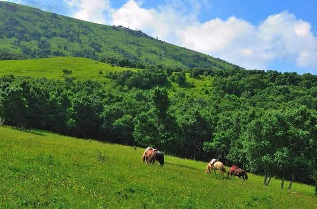 唐僧文旅推荐——门头沟 春季踏青出游景点，京郊春游攻略