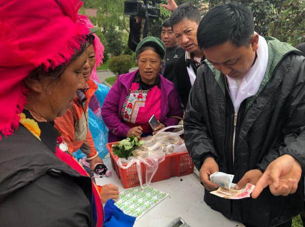 香格里拉推6条落地自驾精品旅游线，带你体验松茸采摘之旅