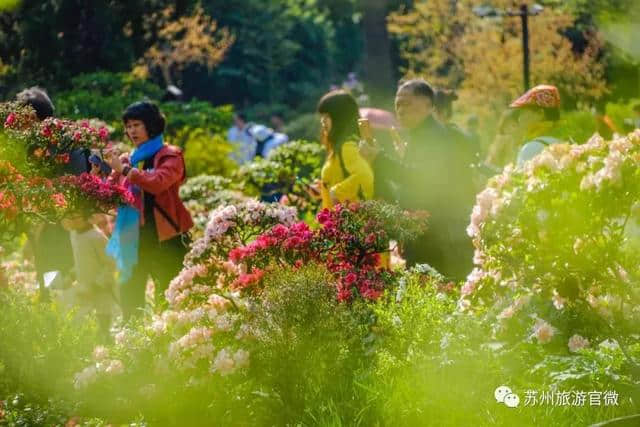 文旅盛会将至！苏州国际旅游节明天开幕！