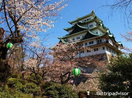 樱花季最强攻略｜19个日本樱花最佳观赏地，保证你今年一定看得到！