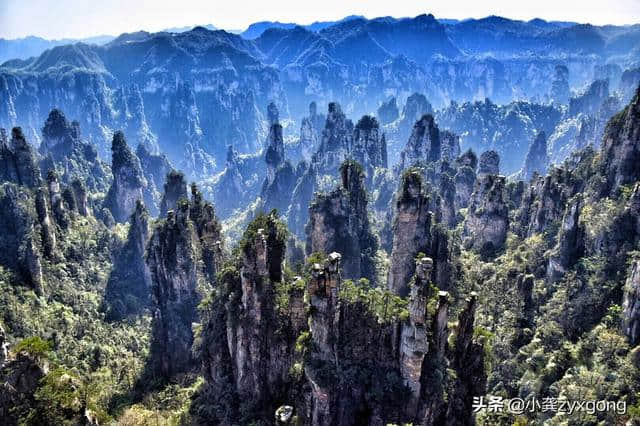 张家界旅游必看的好玩景点有哪些？