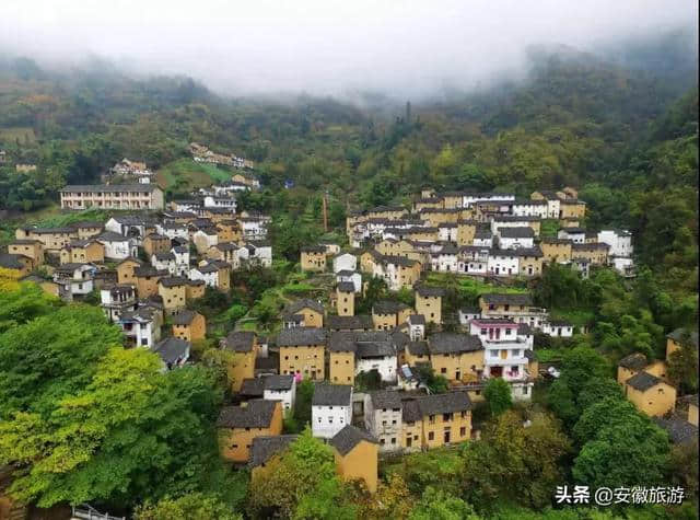 黄山春日赏花图鉴