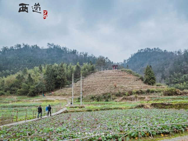 被列入世界文化遗产，黄山市最具代表性的古民居旅游景点