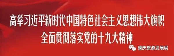 「德庆盛事」首届南方诗歌节在德庆孔庙开幕，“中国诗歌小镇”永久落户金林水乡！