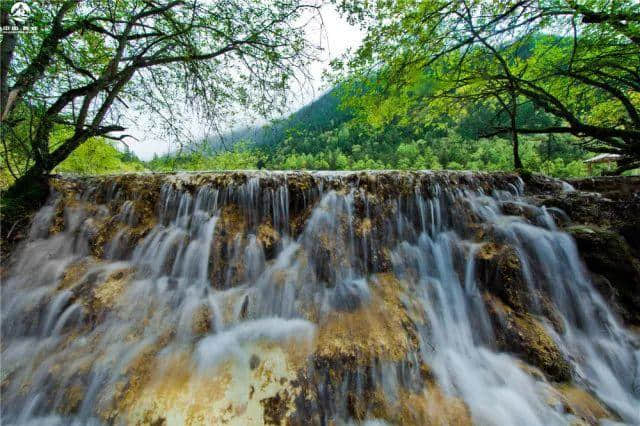 黄龙风景名胜区2017年10月4日旅游概况