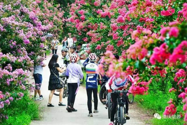 德庆过大年送“厚礼”，一大波特色文旅活动线路产品新春迎客