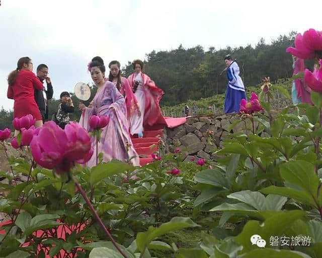 音乐帐篷节、篝火晚会！冷水云水谣给你一个激情之夜!