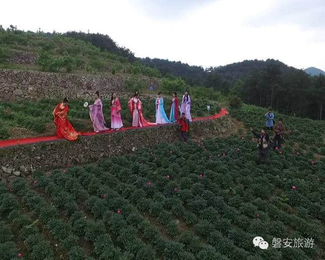 音乐帐篷节、篝火晚会！冷水云水谣给你一个激情之夜!