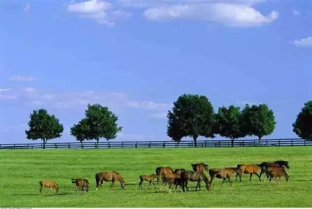 去美国旅行一定要体验的10大美式特色趣事