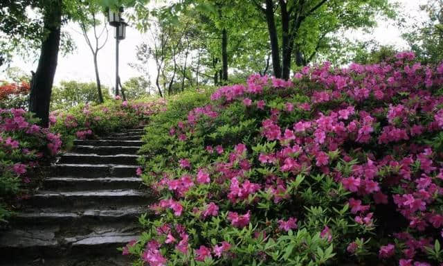 「内含民宿福利」一场与闺蜜的旅行