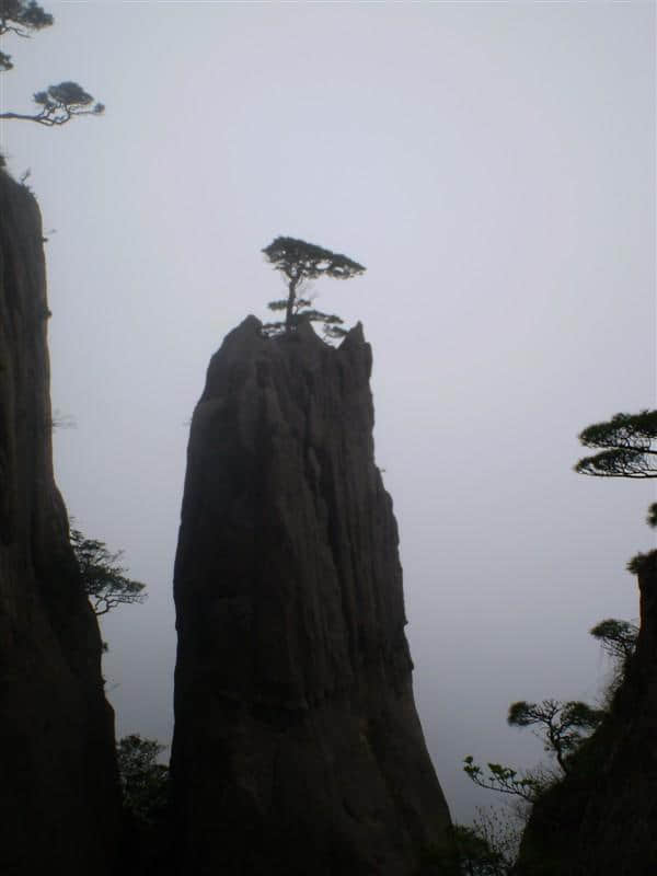 黄山归来不看岳，大美黄山，我的黄山三日自由行游记