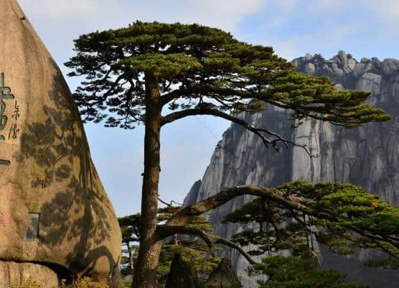 五岳归来不看山，黄山归来不看岳：黄山风景区旅游全攻略！