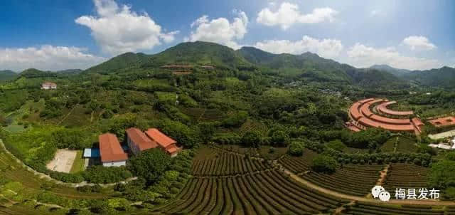 「春节旅游」梅县区春节接待游客245万人次 旅游总收入5.13亿元