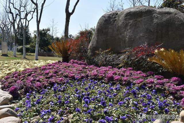 淮安动物园旅游攻略