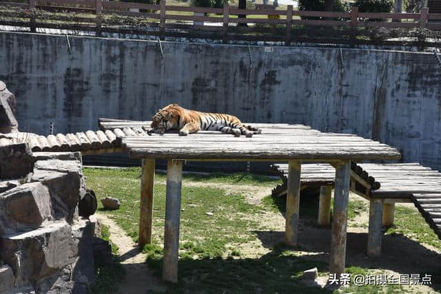 淮安动物园旅游攻略