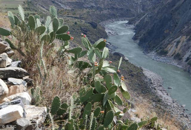 云南旅游景点大全 盘点云南十大最好玩的地方，你去了吗？