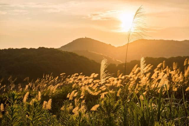 你看过岱山的日出和日落吗？美到时光都停摆