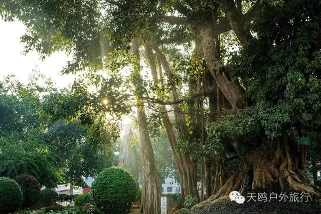 冬天去云南旅游，这六条线路，玩遍云南，颜值爆表