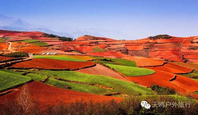 冬天去云南旅游，这六条线路，玩遍云南，颜值爆表