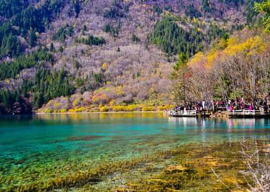 中国汉文化发祥地四川，大熊猫的故乡，旅游资源丰富独天得厚