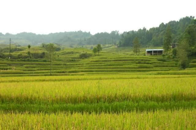 隐藏在云南的世界级风景！（附详细地址）你去过几处？