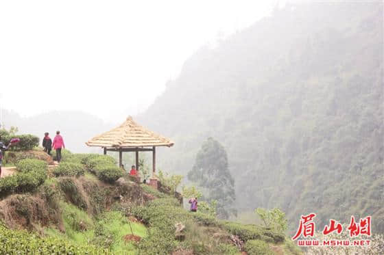 眉山旅游 墙里开花，内外皆香