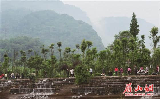 眉山旅游 墙里开花，内外皆香